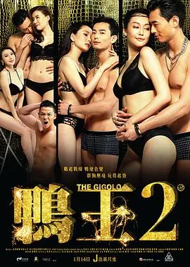 鸭王免费观看蓝光原盘_鸭王免费观看4K高清下载